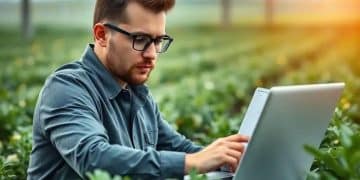 Yield farming risk assessment: what you need to know